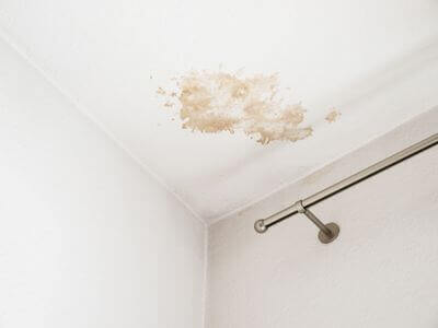 About Cedar City Mold Specialist - mold removal experts in Cedar City, UT